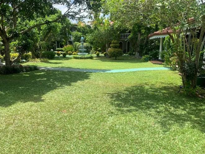 Bougain villa garden